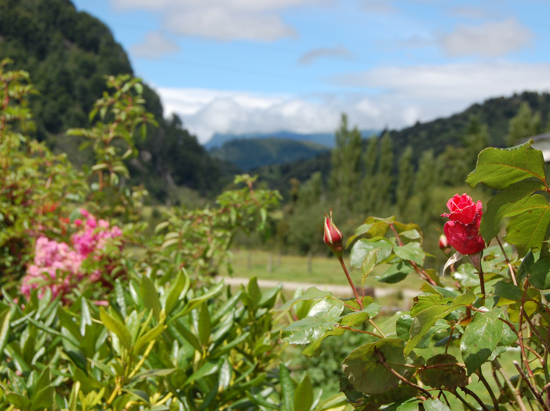 enPatagonia Tours-Puerto Chacabuco必去景点