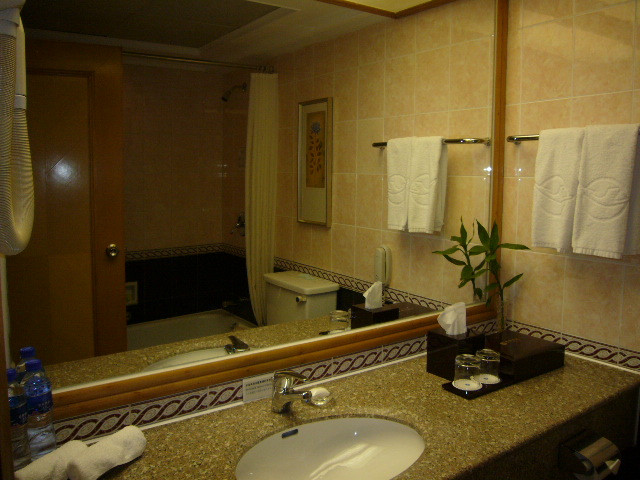 航空金雁酒店主图