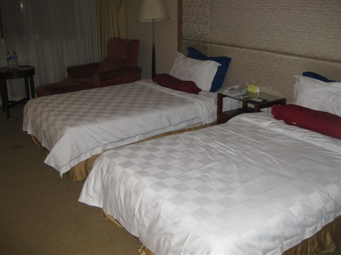 好来登大酒店主图