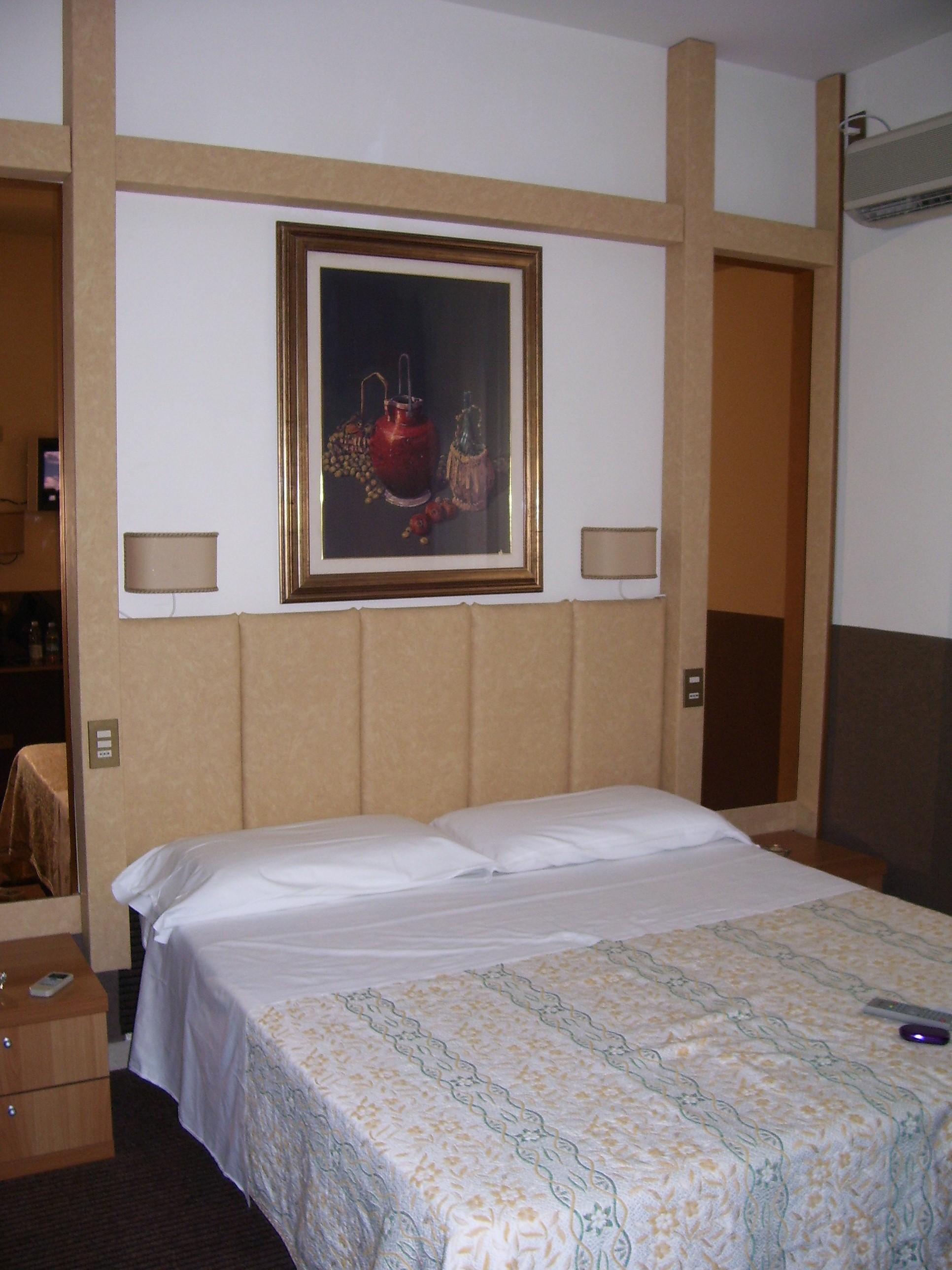 Hotel Europa-客卧