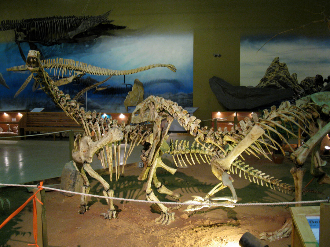 Wyoming Dinosaur Center-瑟莫波利斯必去景点