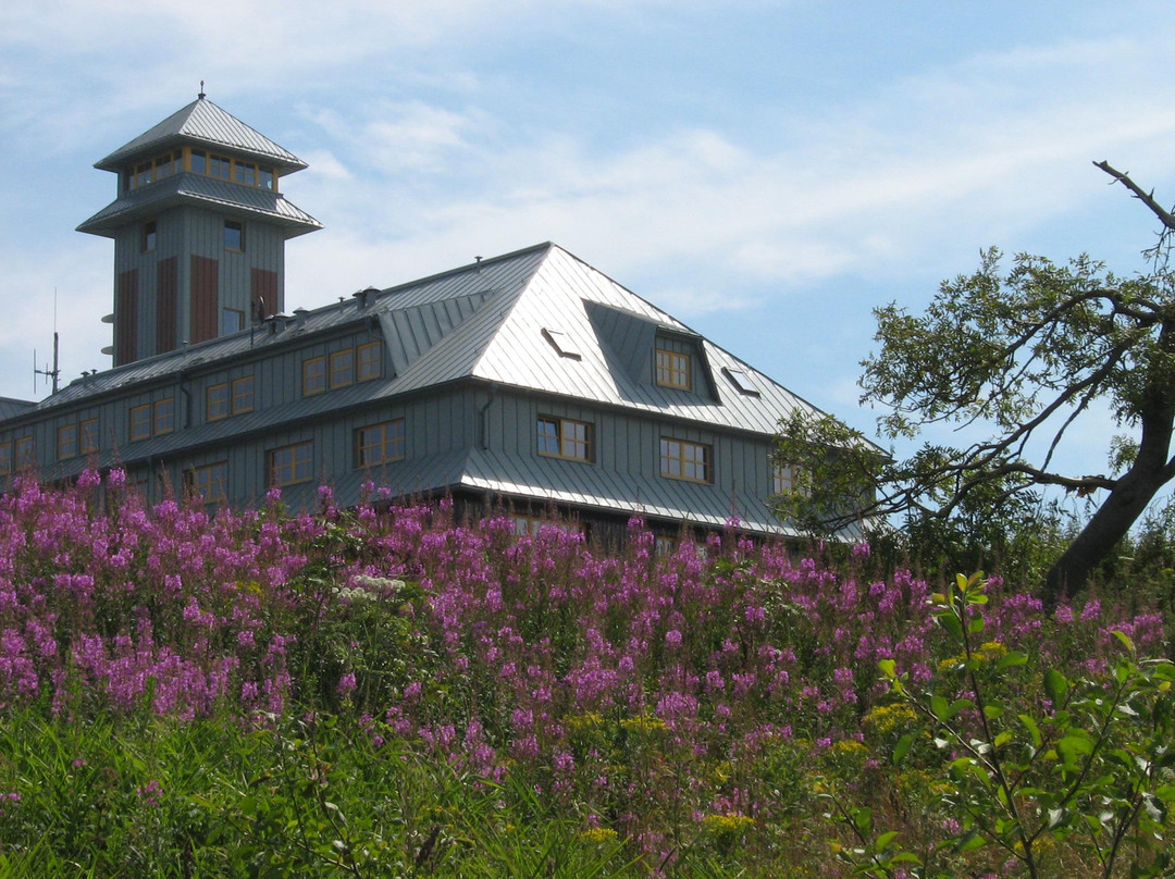 Pferdehof Bretschneider
