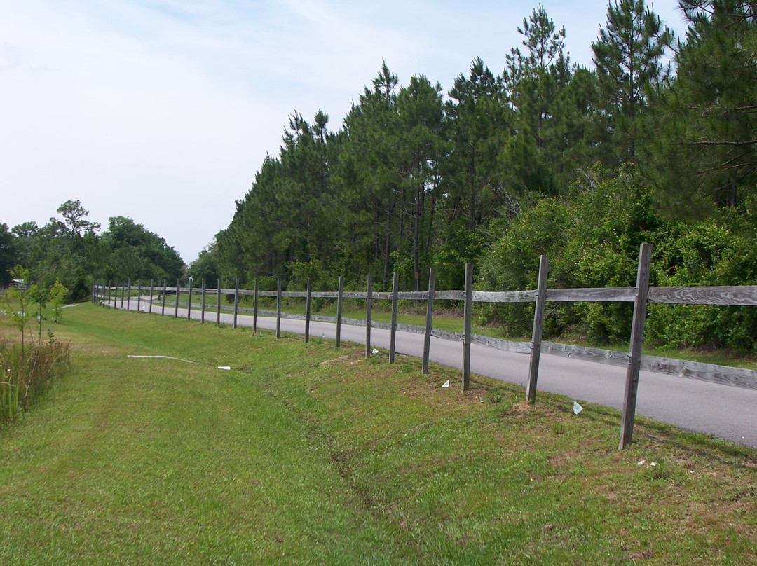 Blackwater Heritage State Trail-Milton必去景点