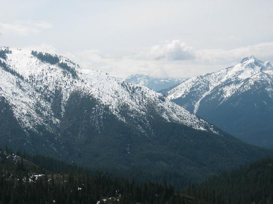 Shasta-Trinity National Forest景点图片