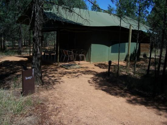 Taronga Western Plains Zoo-达博必去景点