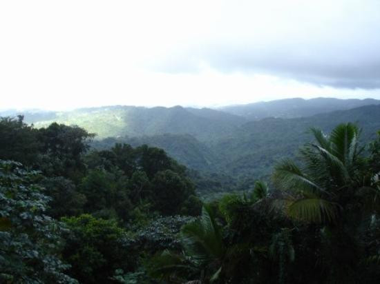 云盖国家森林公园旅游攻略图片