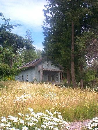 Squalicum Lake Cottage-客卧