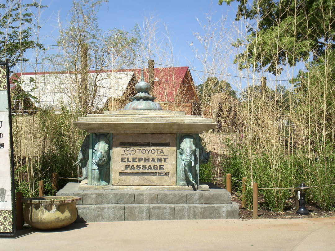 Denver Zoo-丹佛必去景点