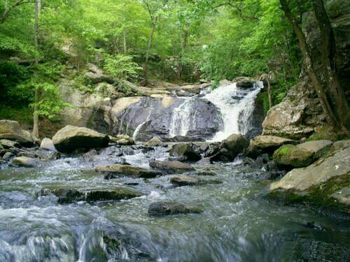 Cochran Mill Nature Center-Palmetto必去景点