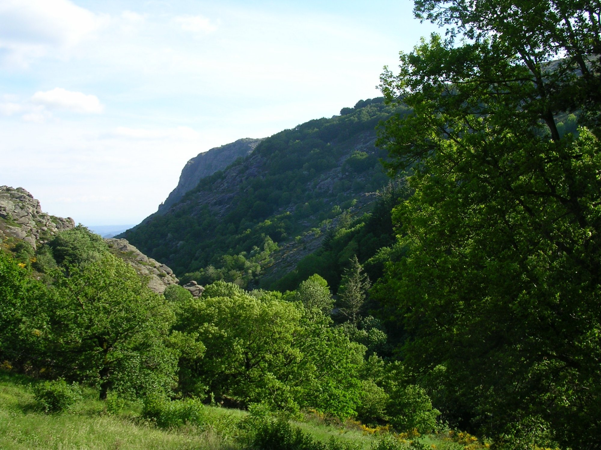 Auberge des Avels-官方