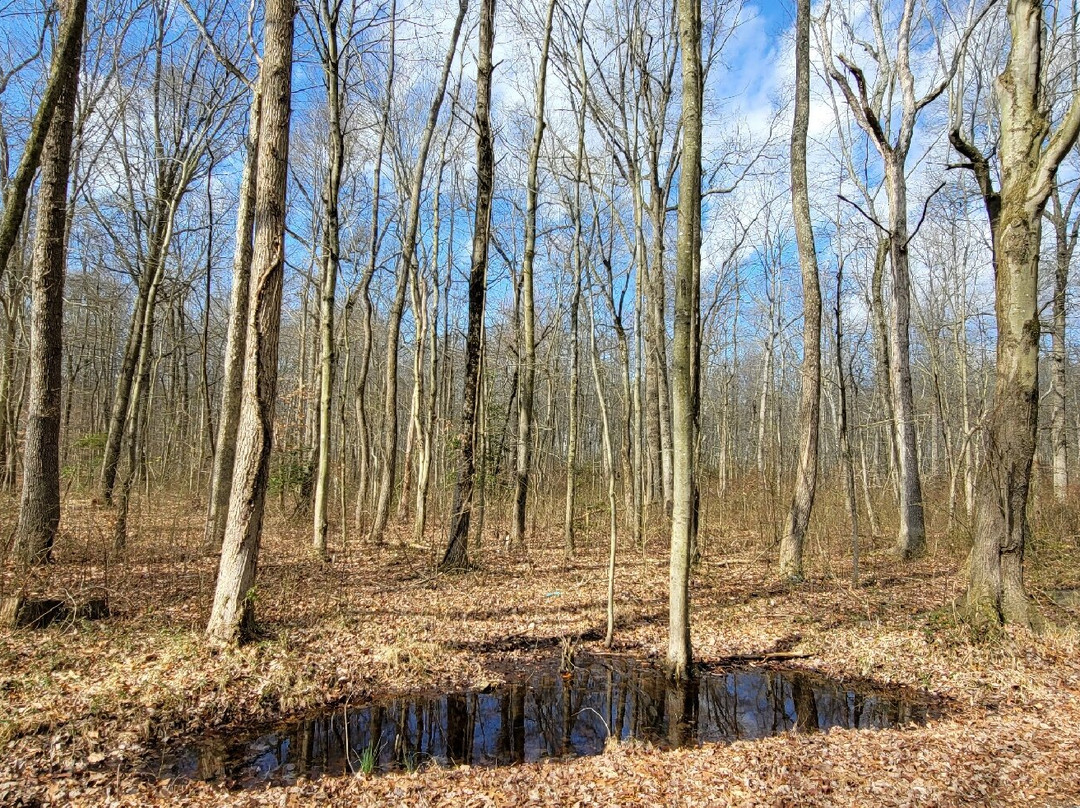 Blackiston Wildlife Area