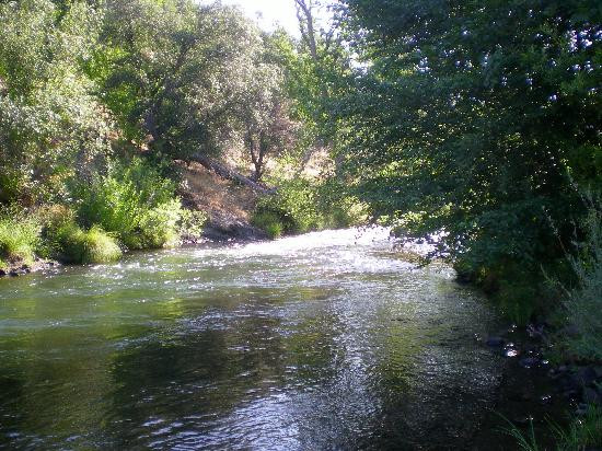 Paynes Creek旅游攻略图片