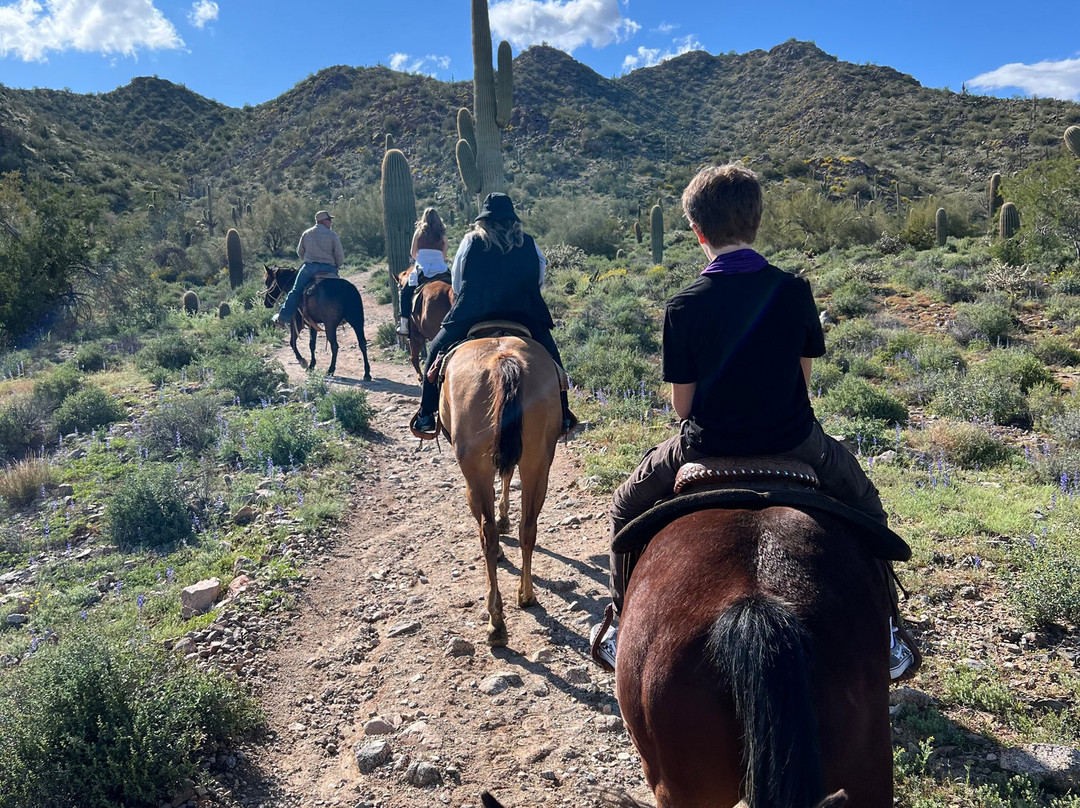 MD Ranch-Queen Creek必去景点