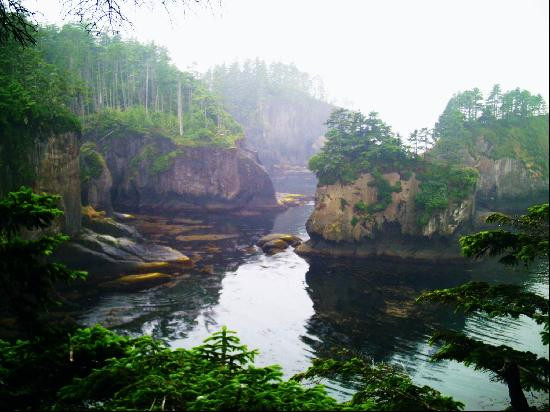 Cape Flattery Trail景点图片