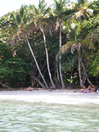 Cahuita National Park景点图片