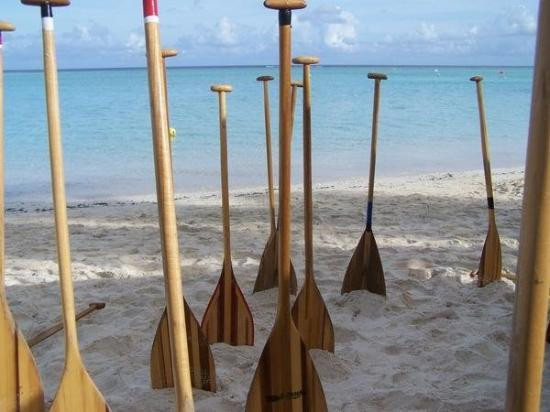 伊保海滨公园-杜梦湾必去景点