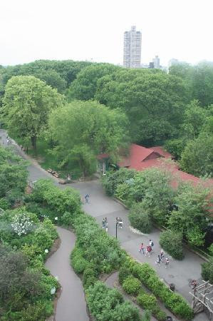 Bronx Zoo-布朗克斯必去景点