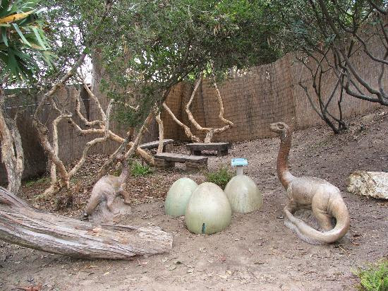 San Diego Botanic Garden-恩西尼塔斯必去景点
