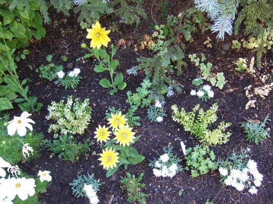 Betty Ford Alpine Gardens-韦尔必去景点