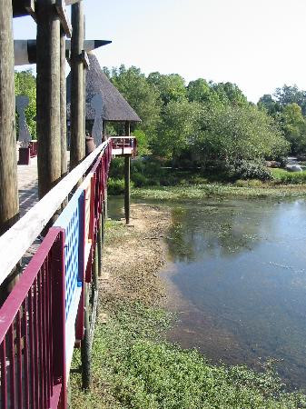 North Carolina Zoo景点图片