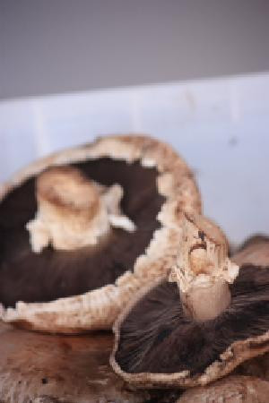 Hale'iwa Farmers' Market-哈雷瓦必去景点