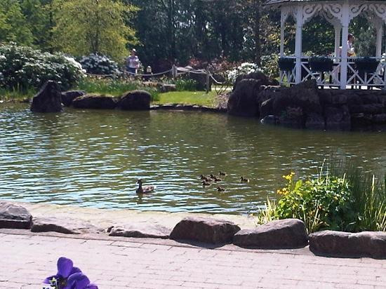 Alton Towers Spa-Farley必去景点