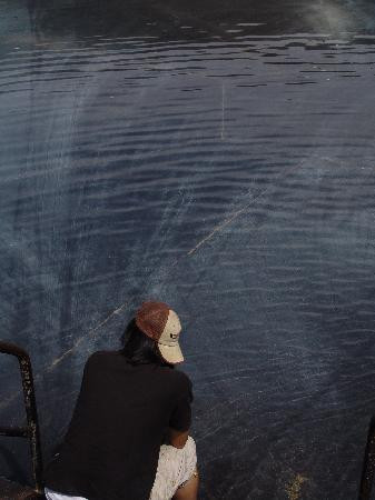 Artesian Baths-Lightning Ridge必去景点