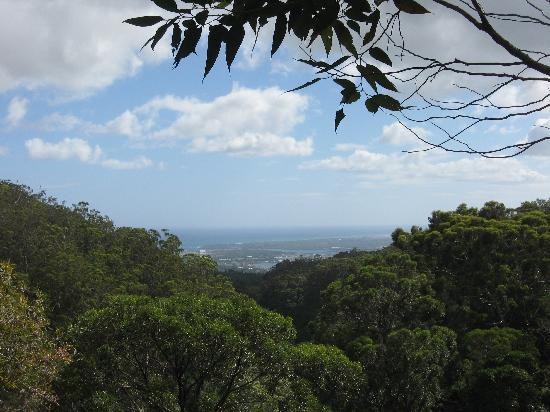 Aiea Loop Trail-阿伊亚必去景点
