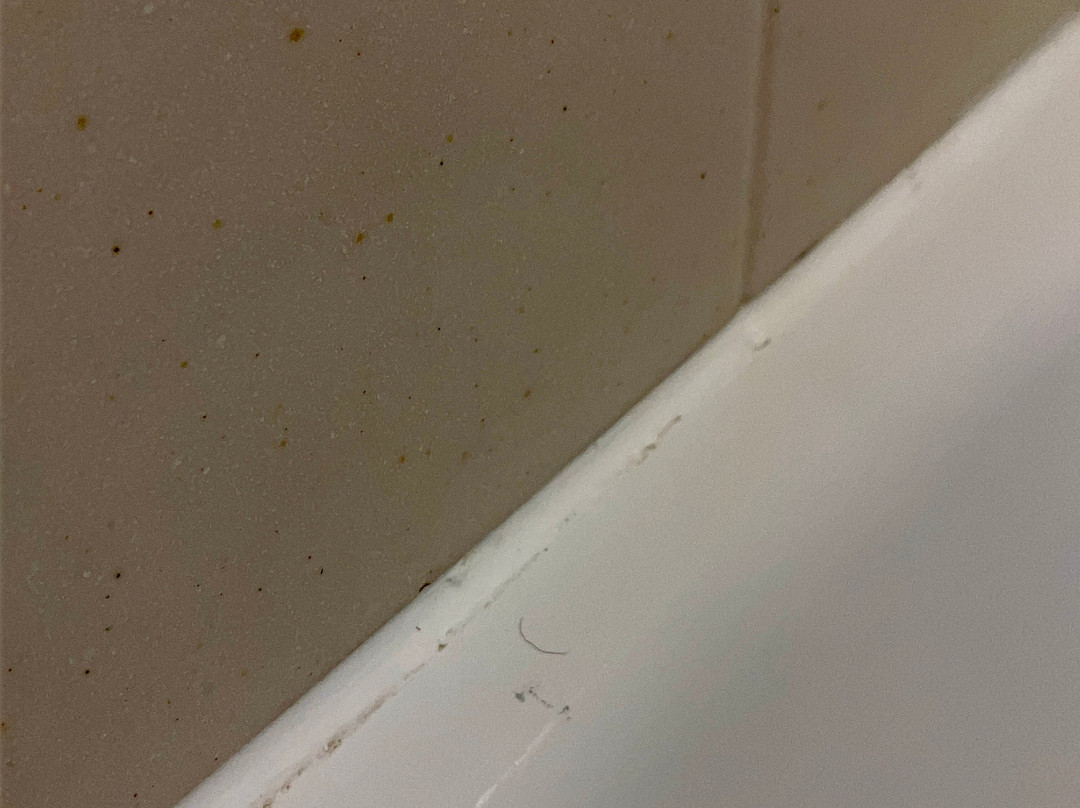 卡纳布智选假日酒店主图