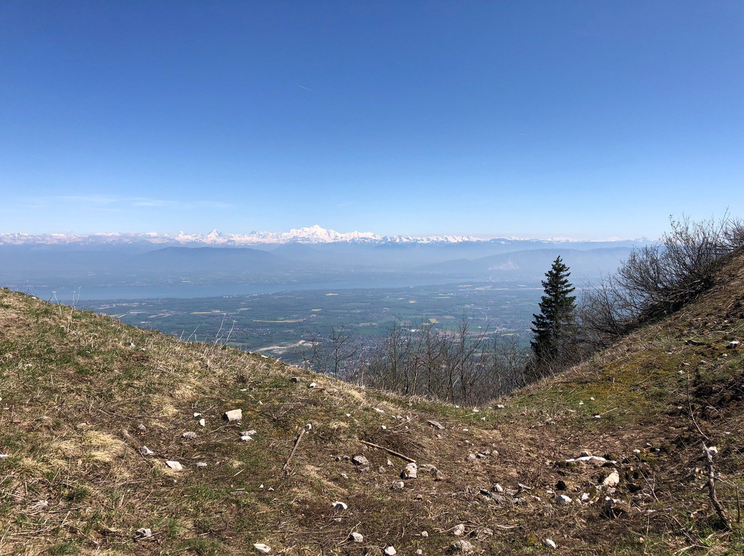 Réserve Naturelle de la Haute Chaîne du Jura景点图片