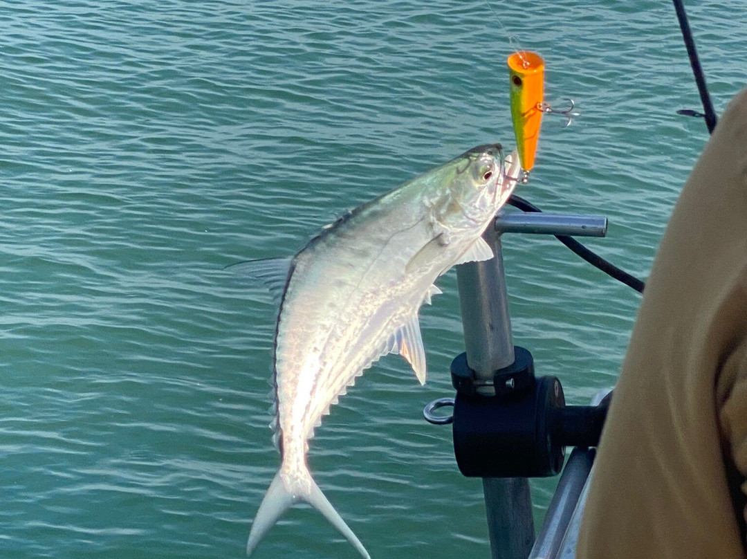 Barra Private Tours-达尔文市必去景点