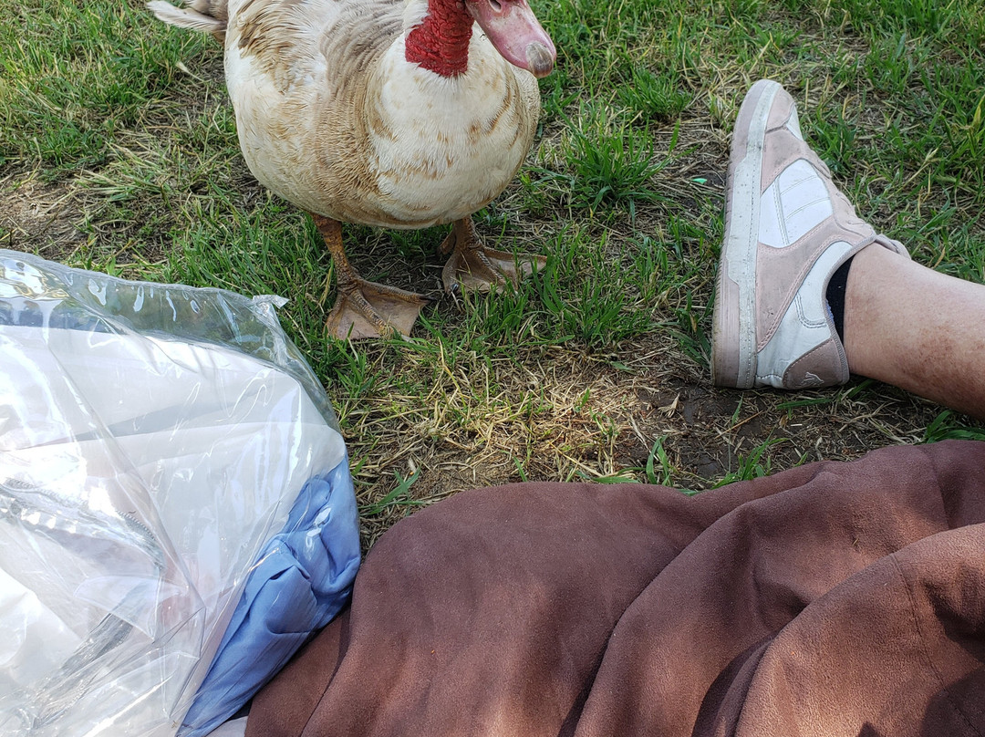 Prado Regional Park-奇诺必去景点