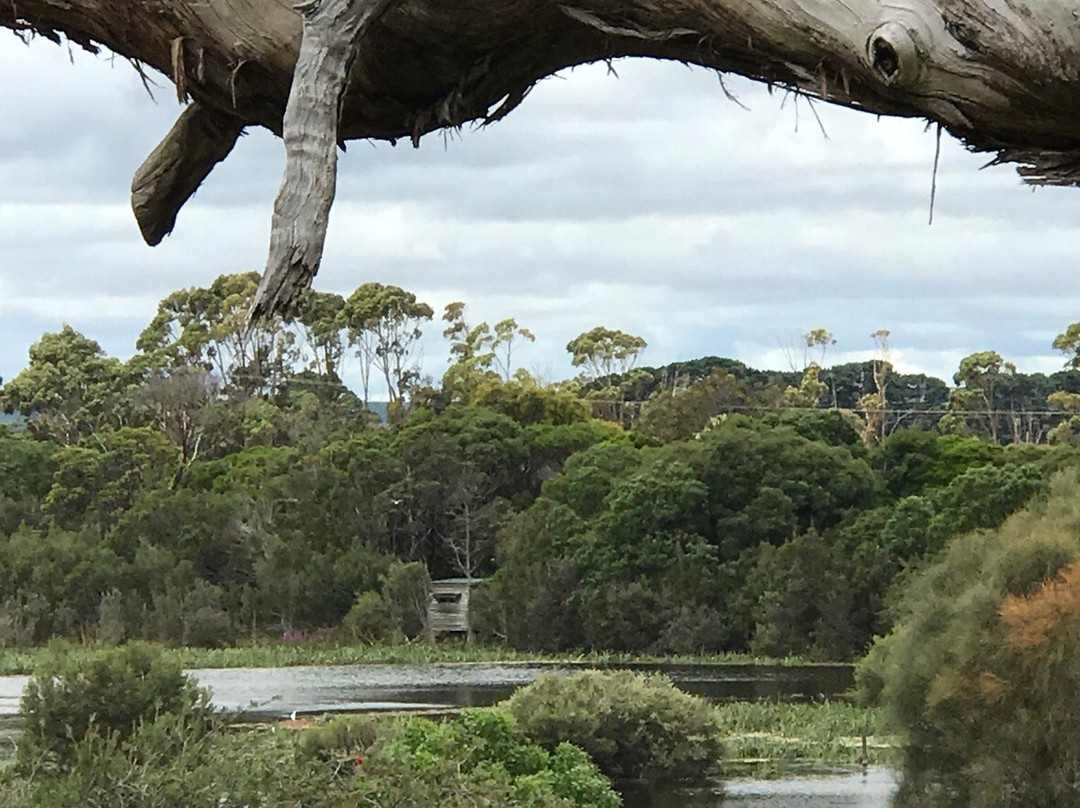 Lake McIntyre-Millicent必去景点