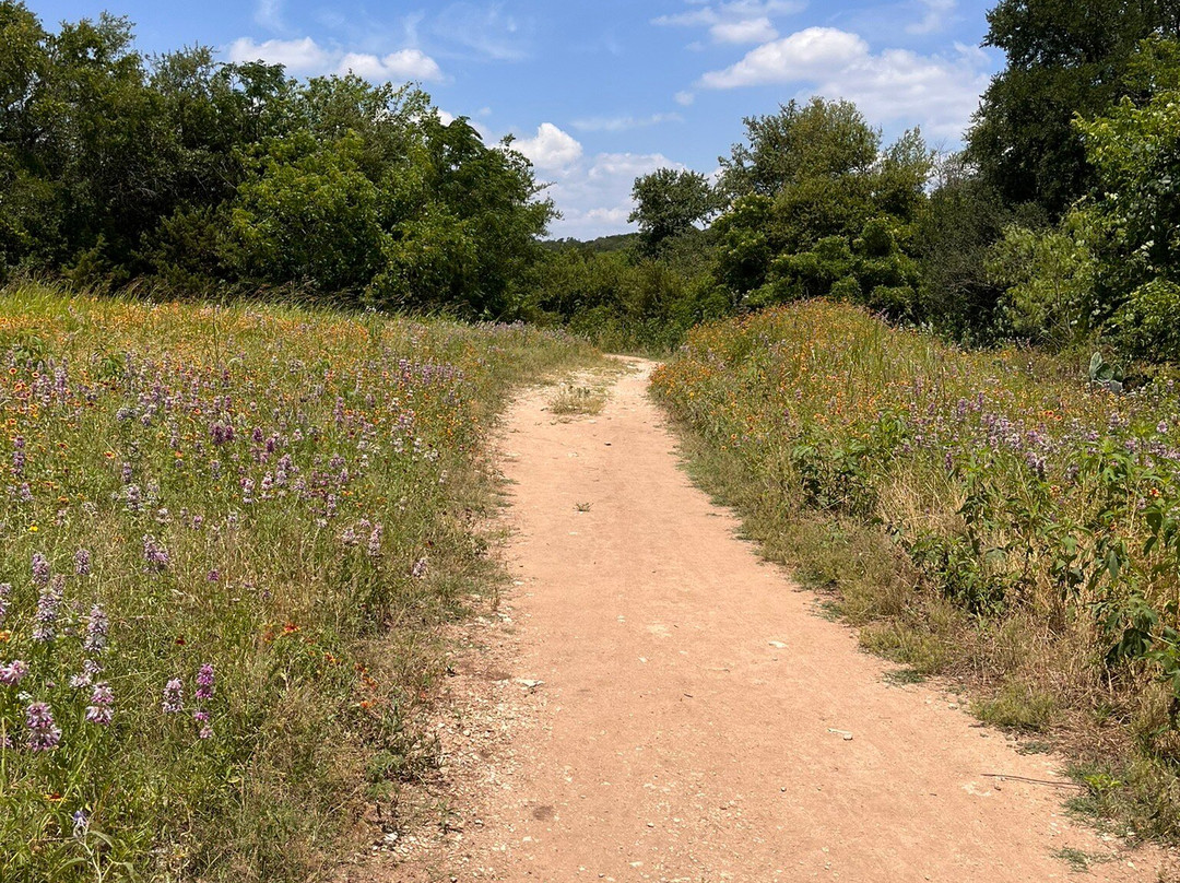 日尔克大都会公园-奥斯丁必去景点