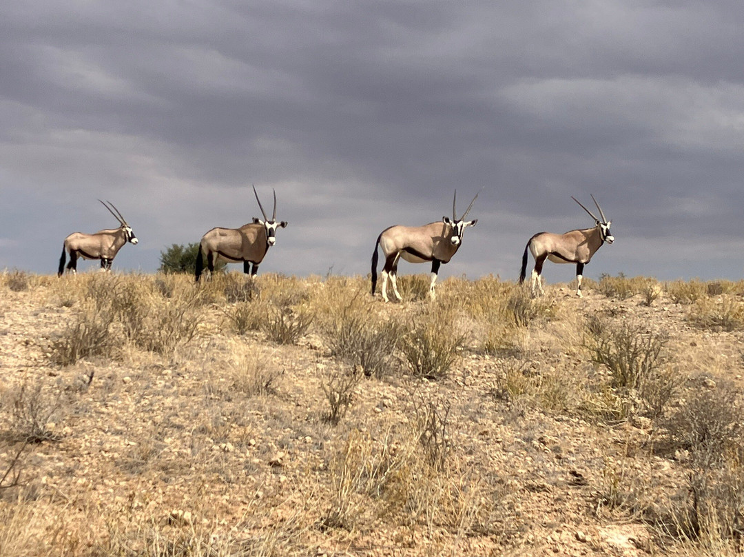 卡拉嘎地跨界公园-阿平顿必去景点