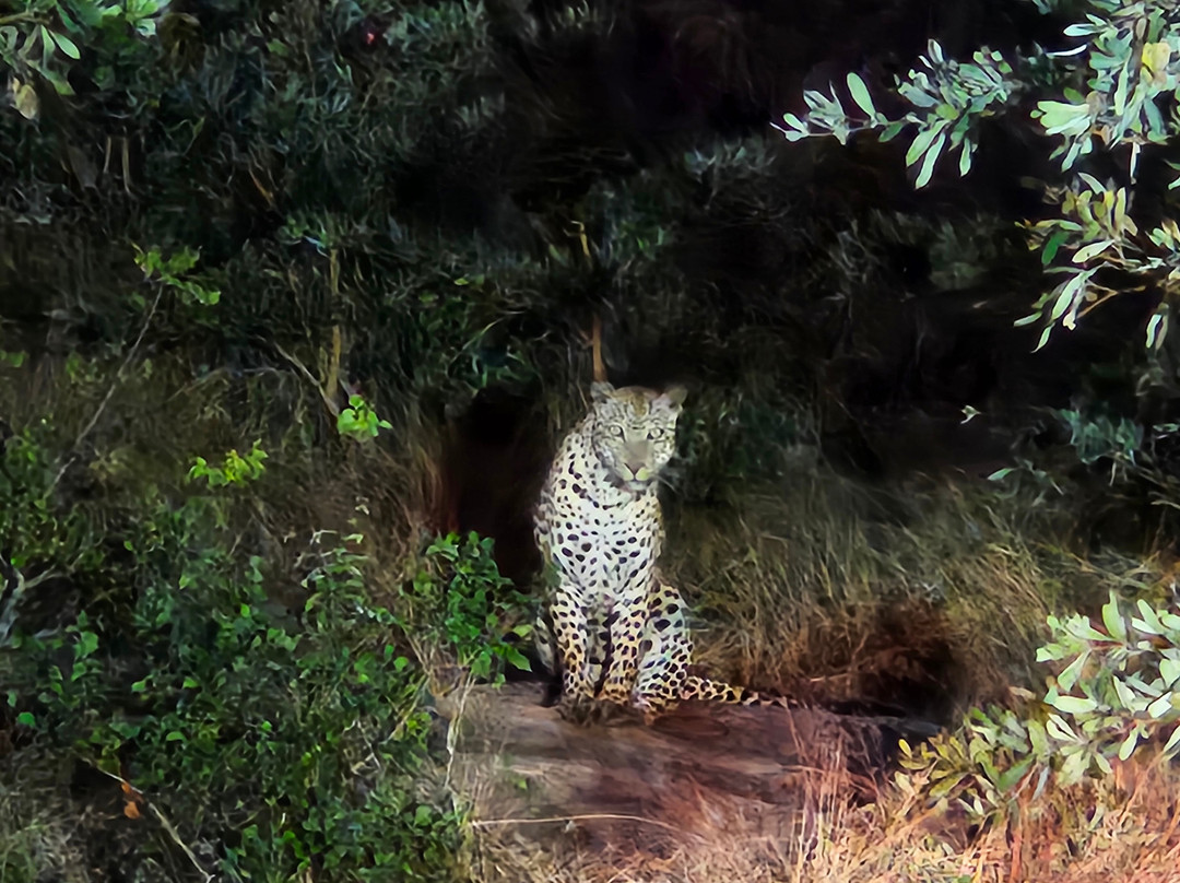 Red Africa Safaris-司库库札必去景点