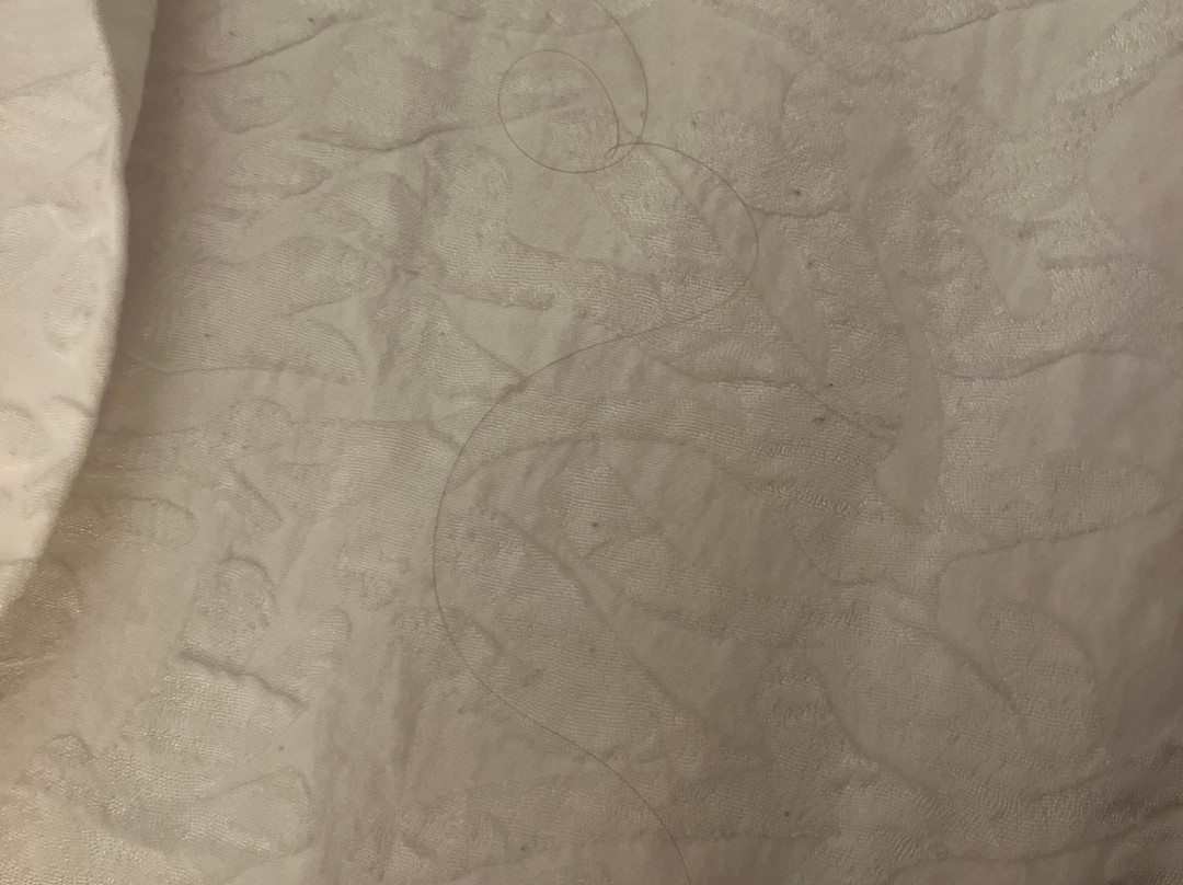 Hilton Garden Inn Providence Airport/Warwick主图