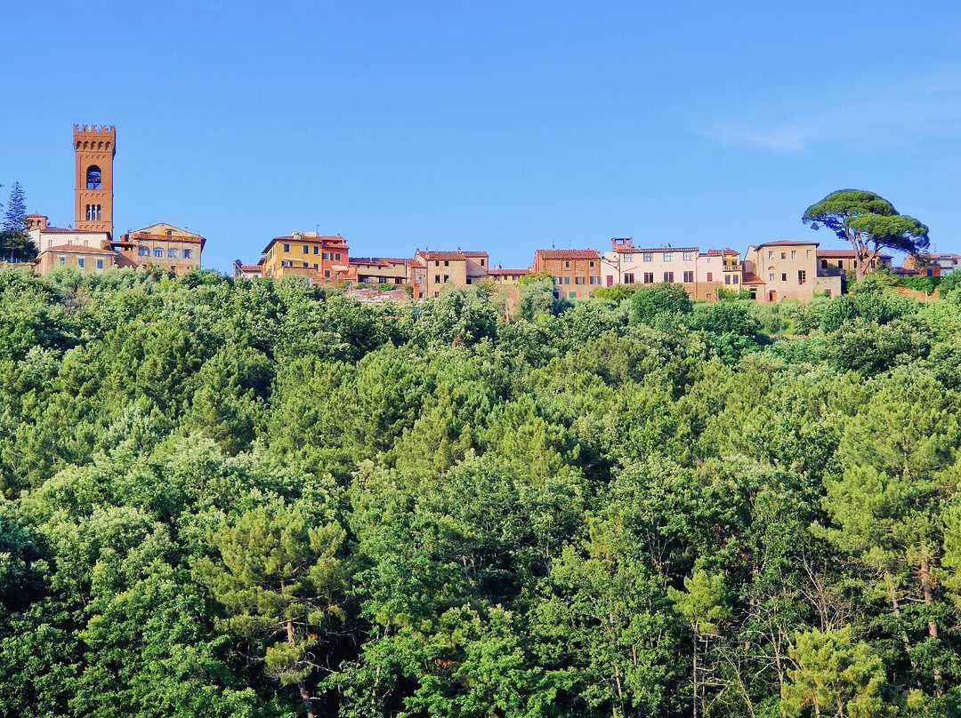 Agriturismo Fattoria Borgo la Torre主图