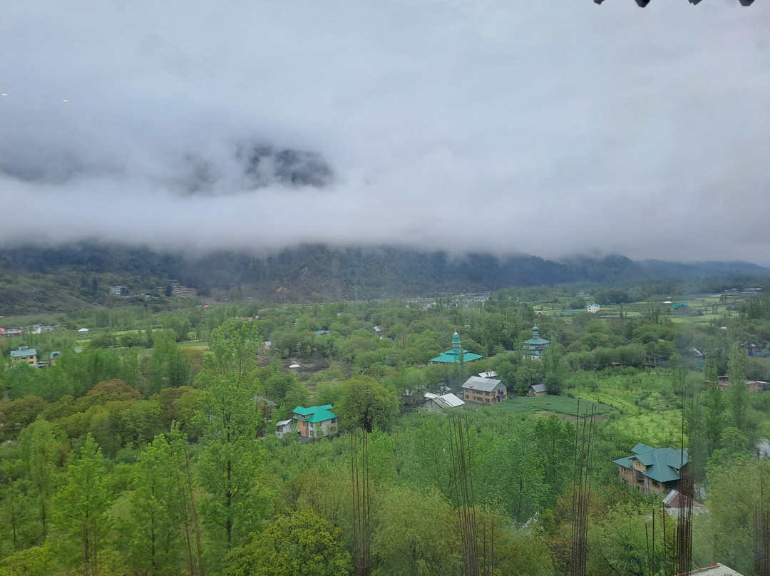 The Walnut Creek Hotel主图