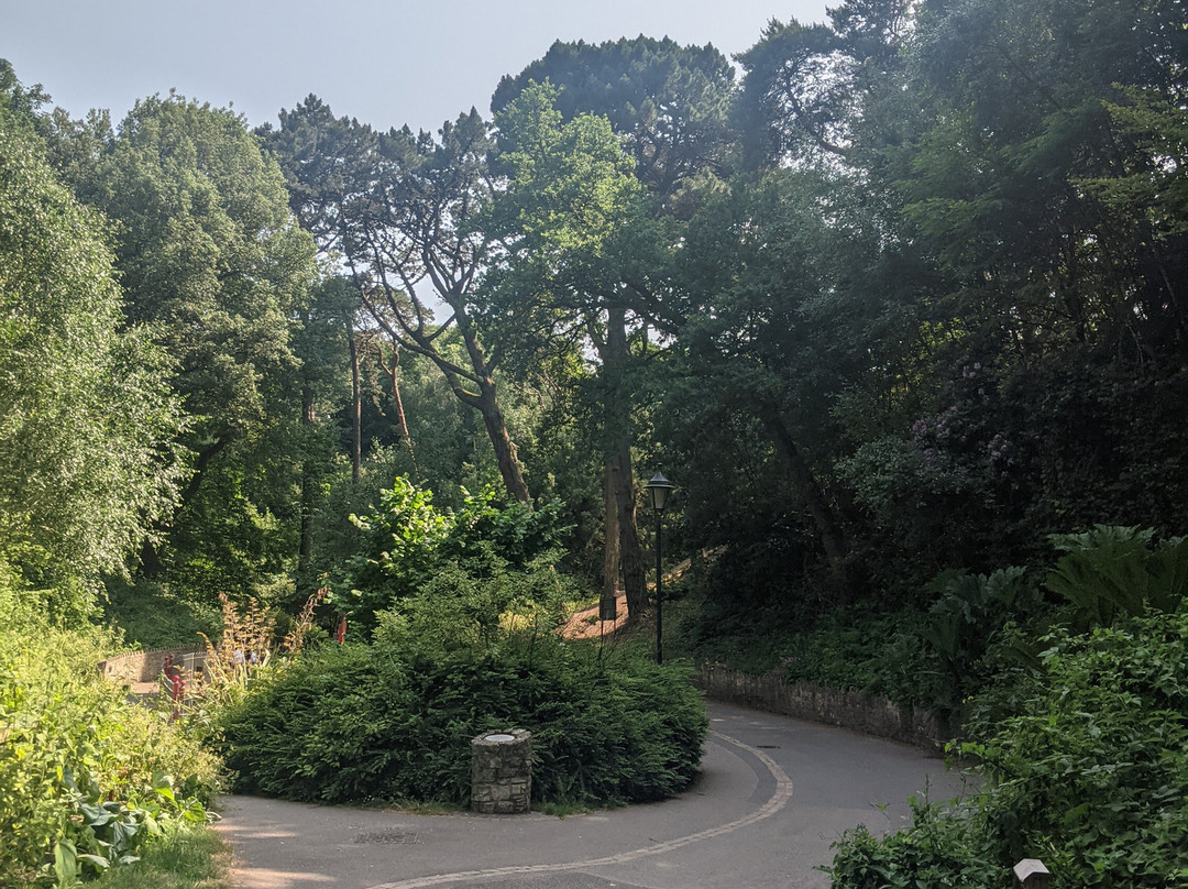 Boscombe Chine Gardens-伯恩茅斯必去景点