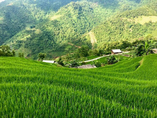 My's Homestay Sapa主图