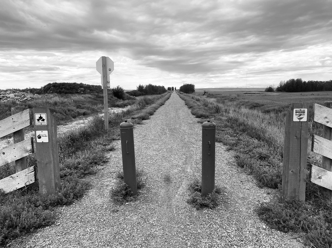 The Meadowlark Trail-Beiseker必去景点