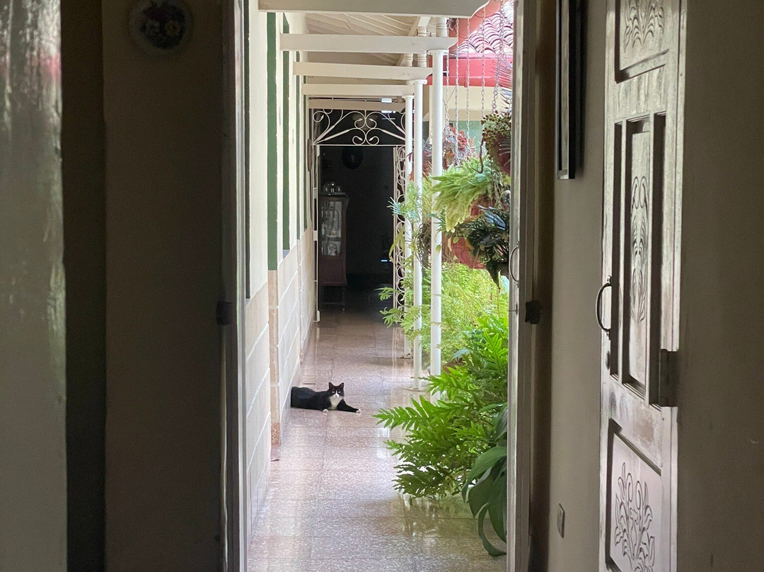 Hostal Paraiso主图