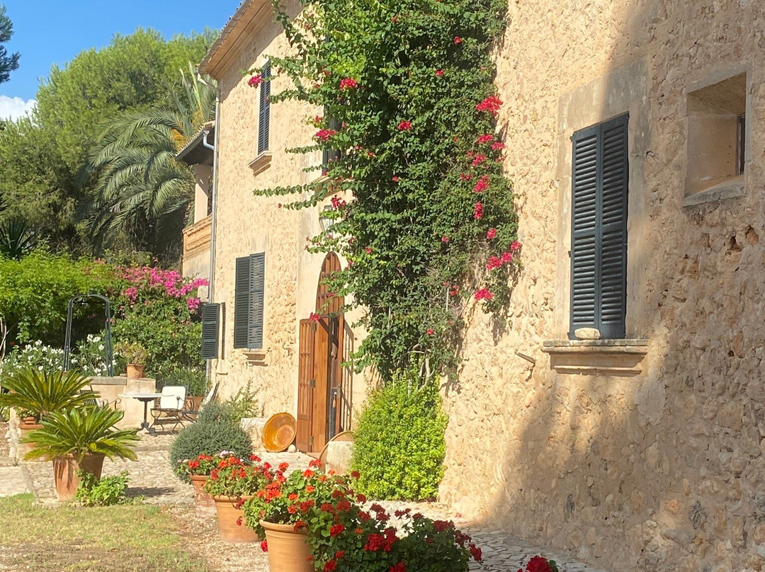 Sa Clasta Wine Tours-马洛卡帕尔马必去景点