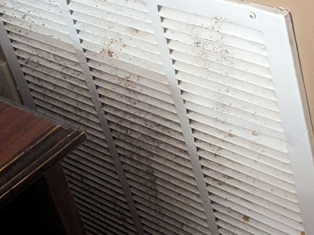 Red Roof Inn & Suites Wilson主图