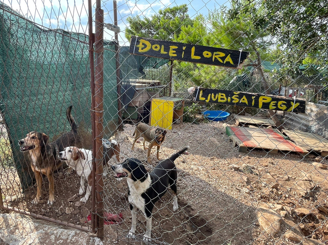 Zarkovica Animal Shelter-杜布罗夫尼克必去景点