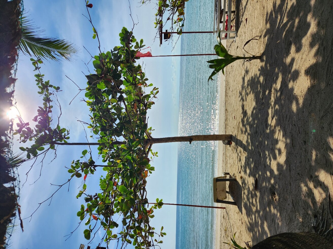 Palani White Beach-Balud必去景点