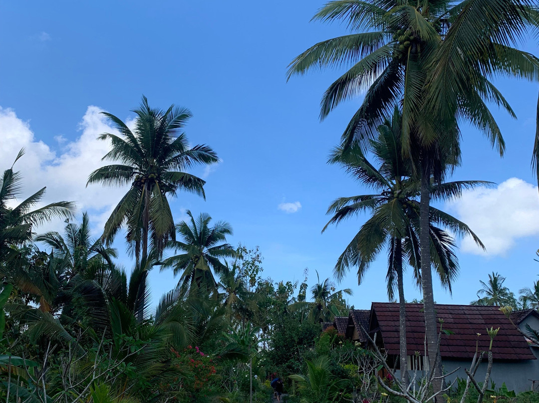 Tojapakeh酒店住宿-Penida Lapaya Garden