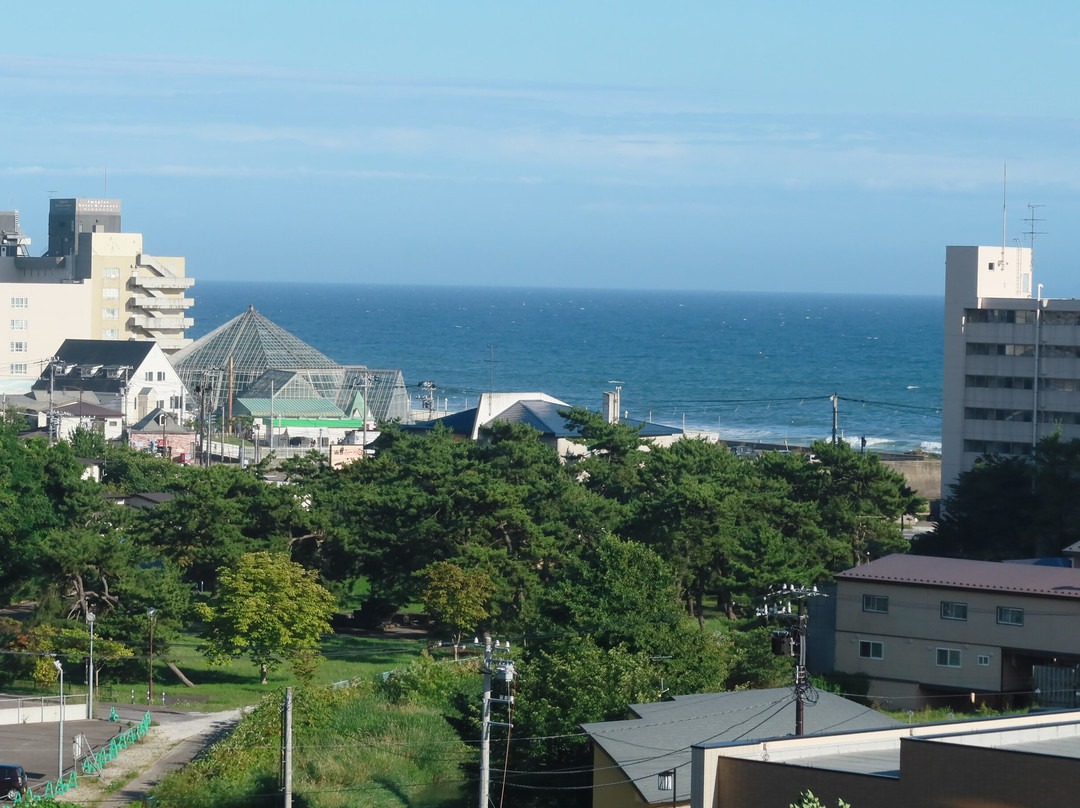函馆万泽汤之川温泉酒店主图