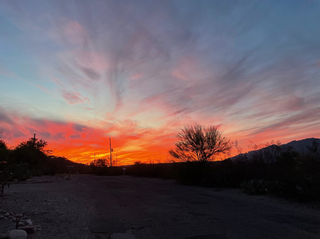 Cactus Cove Bed and Breakfast Inn主图